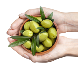 Wooden bowl with delicious green olives in hands, cut out