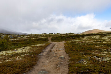 Wanderung im Dovrefjell Nationalpark, Norwegen 20