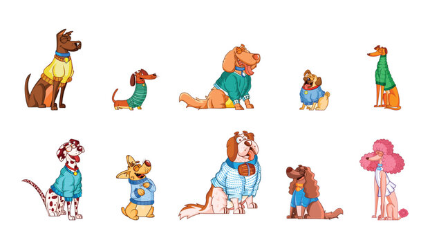 Set Vector Cartoon Dogs With Sweater Character isolated illustration