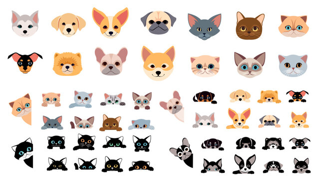 Dog and cat face icon pet