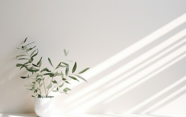 Closeup green plant leaves in white ceramic vase on blurred white wall, sunlight and long shadow for cosmetic, skincare, beauty product presentation display.