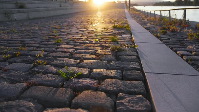 Kopfsteinpflaster in der Neustadt von Mainz im Sonnenuntergang