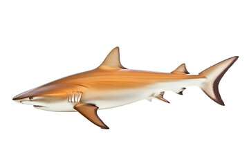 Naklejka premium shark on transparent background (PNG). Generative AI.