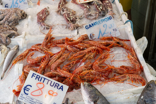 Fresh pink shrimps (gamberoni) sold at the fish market with price