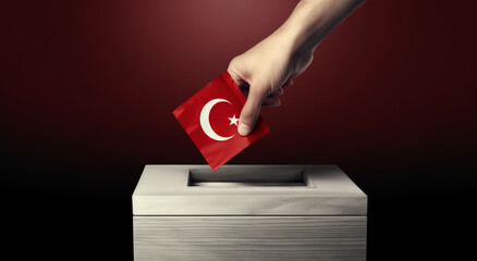 a Turkish citizen voting