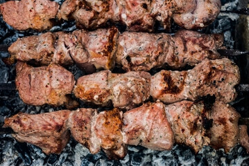 shish kebab on the grill