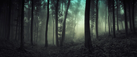 dark forest panorama with trees in fog