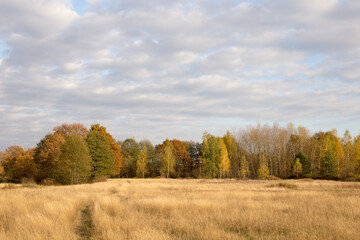 Fototapeta premium Autumn landscape, spacious fields with dense and bright grass