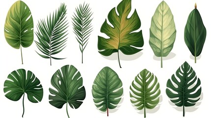 Fototapeta premium Tropical different exotic leaves. Generative AI