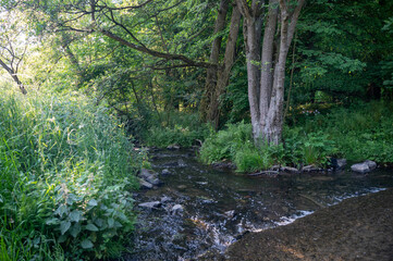 A River with low water level