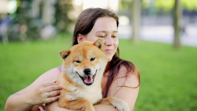 Portrait of adorable, happy dog of the Simba breed in the park on the green grass at sunset. The girl hugs and strokes her beloved pet.
