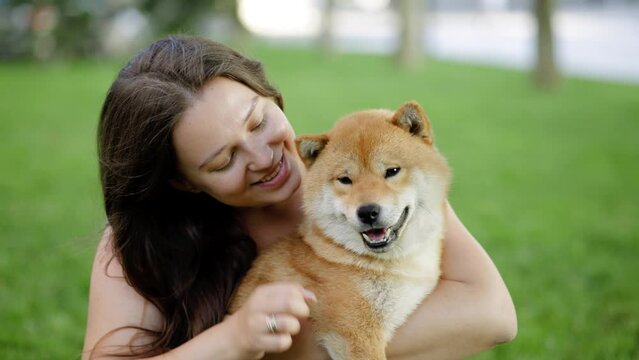 Portrait of adorable, happy dog of the Simba breed in the park on the green grass at sunset. The girl hugs and strokes her beloved pet.