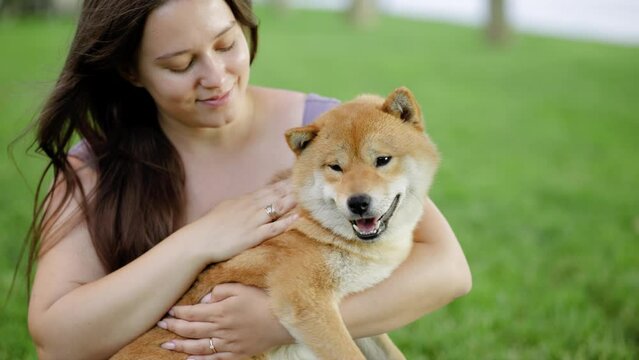 Portrait of adorable, happy dog of the Simba breed in the park on the green grass at sunset. The girl hugs and strokes her beloved pet.