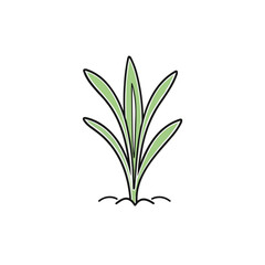 Fototapeta premium Premium Aloe Vera Logo Vector Design for Health and Beauty Brands