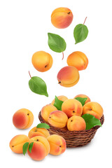 apricot fruit in Wicker basket isolated on white background. Clipping path and full depth of field