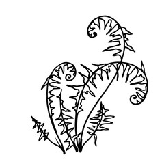 Sketch forest grass fern.Vector graphics.