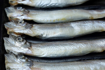 Fresh raw capelin fish on black background