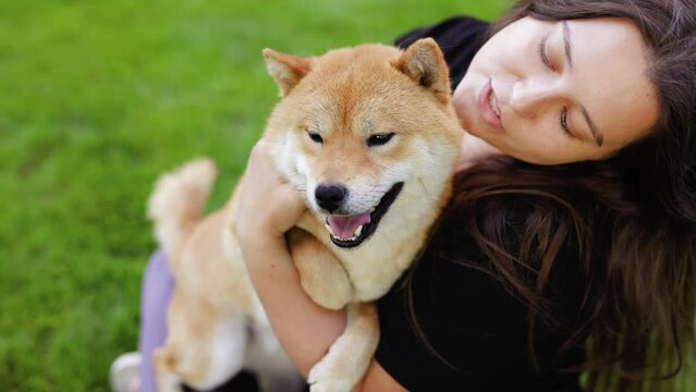 Portrait of adorable, happy dog of the Simba breed in the park on the green grass at sunset. The girl hugs and strokes her beloved pet.