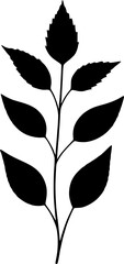 Tropical Leaves Vector