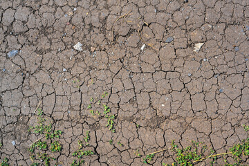 Dry mud cracked ground texture. Drought season background. Dry and cracked land, dry due to lack of rain. Effects of climate change.