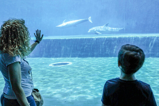 ITALIA-ACQUARIO-GENOVA