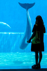 ITALIA-ACQUARIO-GENOVA