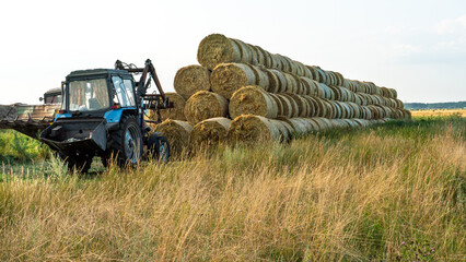 The blue tractor uses a hydraulic manipulator to stack round bales of hay in pyramids for storage and drying. Machinery works in the field during harvesting. © Pokoman