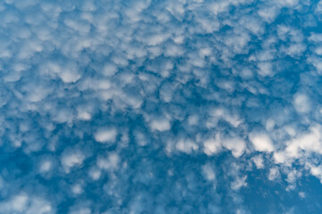 Fototapeta na wymiar Nubes cirrocúmulos