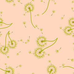 Dandelion background your design. Abstract floral seamless pattern.