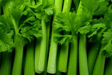 Obraz premium Celery as background. Generative AI