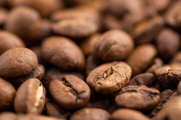 Roasted coffee beans pattern texture