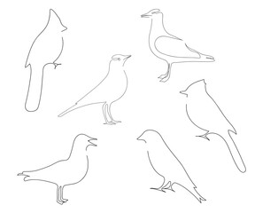 Set of bird continuous one line vector drawing. Bird hand drawn modern simple single lineart style. Sketch.