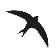 Common black swift (Apus apus) continuous one line vector drawing. Bird hand drawn modern simple single lineart style. Sketch.