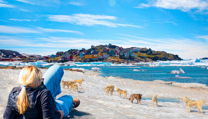 Many greenland dogs chained up on the snow, with hut-colored houses in the background and Greenland mountain and seascape - Kulusuk, Greenland - obrazy, fototapety, plakaty