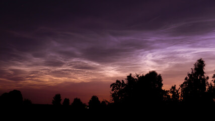 Obraz premium silvery clouds in the early summer morning