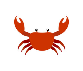 Illustration of single crab on white background