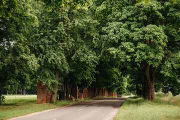 the road in the green near the old brick fence