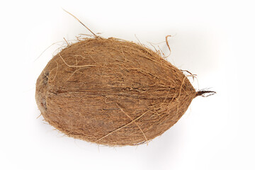 Whole Coconut on white background