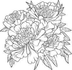 A hand-drawn peony coloring book of vector illustration artistic, blossom  flowers peony isolated on white background, sketch art leaf branch botanic collection for adults and children.