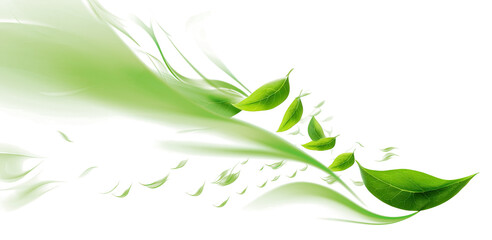 abstract green leaves swirling motion isolated transparent