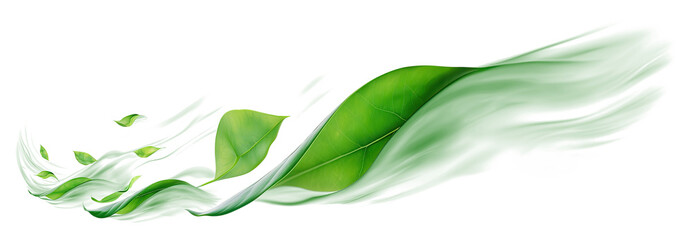abstract green leaves swirling motion isolated transparent