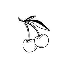 vector illustration of cherry fruit