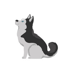 Cartoon Siberian husky dog with blue eyes, black and white dog with long wool sits, profile view, Vector illustration