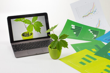 Mała roślina w doniczce obok komputera z rośliną na ekranie wśród zielonych i białych plansz z wykresami.