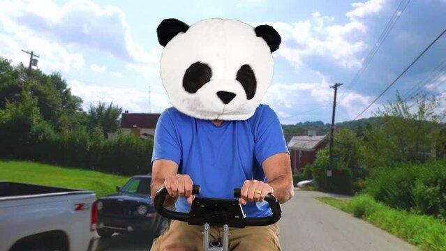 A funny shot of a man in a panda bear hear riding a bicycle uphill in a Pennsylvania neighborhood.	