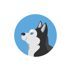 Round avatar with blue-eyed husky dog flat style, vector illustration