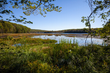A view of a lake from a hiking trail in Ontario.