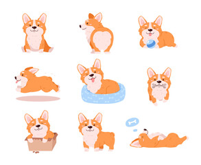 Cute corgi dog in different poses, cartoon flat vector illustration isolated on white background.