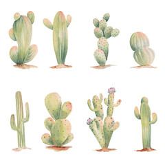 Set of watercolor cacti of desert illustration, desert cactuses clipart