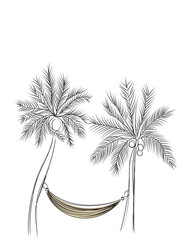 Obraz premium set of palm trees